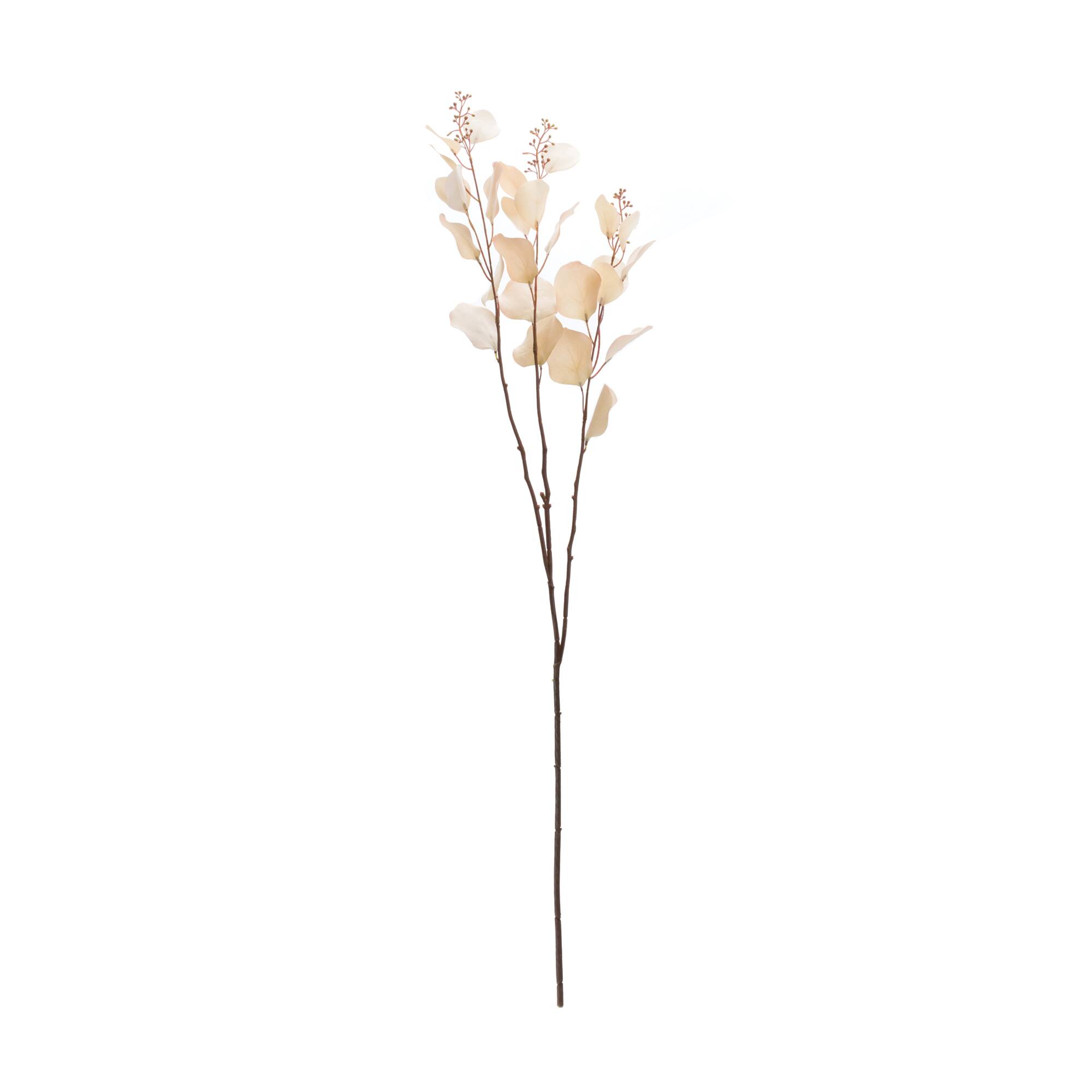 38" Seeded Eucalyptus Stems, 6ct.
